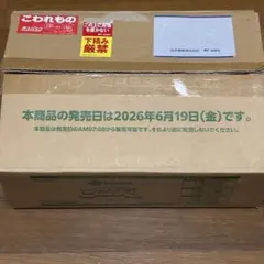 村上隆 ラッキーボックス 3万円 開封済 - メルカリ
