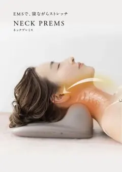 新品未開封！売り切れ NIPLUX WAISTUPREMS 腰痛予防腰マッサージ 
