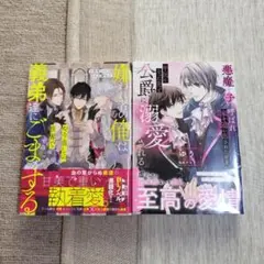 bl小説　2冊セット①
