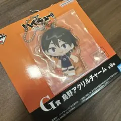 一番くじ 劇場版ハイキュー!! ゴミ捨て場の決戦2 G賞 山口忠