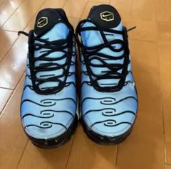 Nike Air Max Plus スニーカー 円堂守さん着用！！値下げ可能