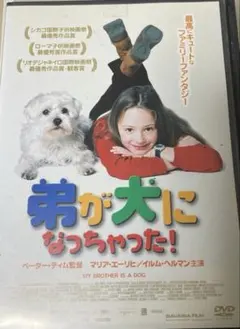 舞台 小林少年とピストル DVD/美品 - メルカリ