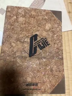 Item thumbnail for item e72d725e-5d30-43c0-946b-e4944faab781