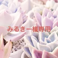 みるきー様 リクエスト 2点 まとめ商品
