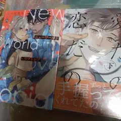 商業 BL 2冊で 780円までのセットでしたら3組購入で1200円