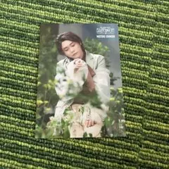 ミセス フォトカ 原宿 大森元貴 ミセスグリーンアップル フォトカード 大森元貴レア