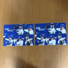 中日ドラゴンズ　クリアファイル【2枚】