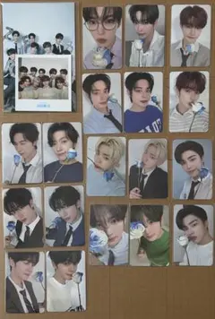 ZB1 ゼベワン FC 3期 ウィエファズ 8枚セット