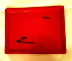 2026年最新】根来塗 盆の人気アイテム - メルカリ