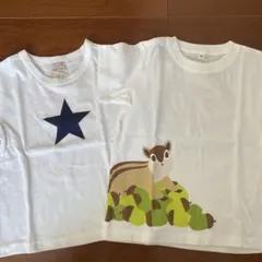新品タグ付き　petit main 無印　 100cm 星とリス Tシャツ