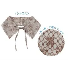 フェリシモ　保冷剤が入るポケット付き　付け衿　シトラス
