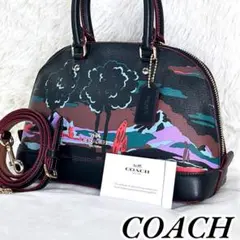 【極美品】レア！COACH ランドスケープ ミニサッチェル 2WAY 1294