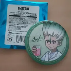 Dr.STONE 缶バッジコレクション　石神千空