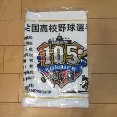 第105回全国高校野球選手権記念大会 フェイスタオル 甲子園