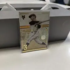 Item thumbnail for item c1be10f2-eb21-480d-b5dd-6056265a29f9