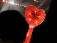 公式　アヴリル・ラヴィーン ハート型ペンライト 赤　2本セット