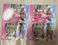 ディズニー パルパルーザ ミニー ファンダーランドコレクションカード コレカ