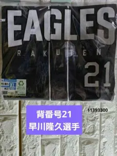 Item thumbnail for item e5815cf6-d423-4ca0-a349-072f4212b1f6