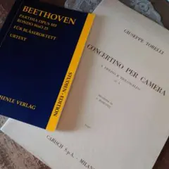 B315 洋書 楽譜 紙物 ヴィンテージ ジャンクジャーナル 雑記帳 コラージュ