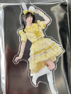 iLife 福丸うさ アクキー
