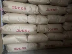 【引取り限定:埼玉】令和7年度産　コシヒカリ 玄米　米　30kgのサムネイル