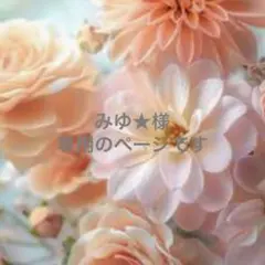 みゆ★購入前コメント必須プロフ必読‼️ 様専用のページです☆