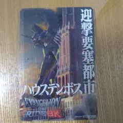 ハウステンボス 限定 エヴァンゲリオン クリアカード 年パス限定