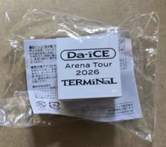 【匿名配送】Da-iCE TERMiNaL カプセルトイ スタンプ
