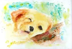 犬の絵「ゴールデンレトリバー 」油彩画 フレーム付き（面版なし