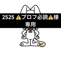 2525 ⚠️プロフ必読⚠️様専用