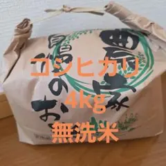 【コシヒカリ】長野県佐久産 無洗米 4kgのサムネイル