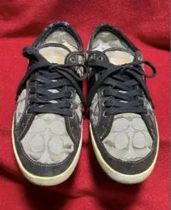 Item thumbnail for item 341f7e96-4eb3-47d3-8b42-4b2973f1ff40