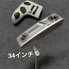 SCOTTY CAMERON select NEWPORT 2 パター
