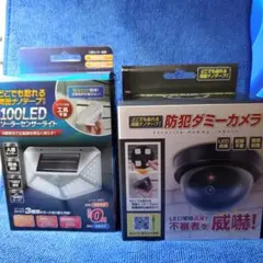 Item thumbnail for item 309820ad-acb5-445b-bff3-b9ef7556534e