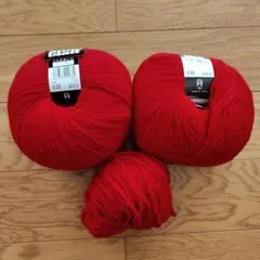 毛100% ウール 赤 anny blatt ミニスポーツ