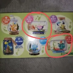 ピクミンテラリウムコレクション2 おうち探索　ダンドリバトル　セット