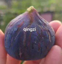 T K様 リクエスト 3点 まとめ商品