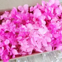 えりりん §プロフ必須§様 リクエスト 5点 まとめ商品