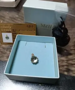 Item thumbnail for item 43929513-e620-4a5a-bd83-327cc26a4d86