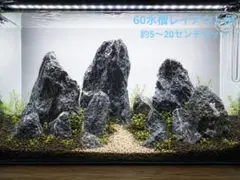 2026年最新】ADA 水槽 60の人気アイテム - メルカリ
