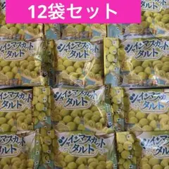 チロルチョコ　シャインマスカットタルト　12袋　チョコレート　レア商品のサムネイル