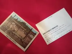 Item thumbnail for item 479c3131-13c5-4d95-ae1c-4e93ad414da5