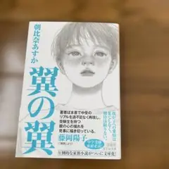 翼の翼