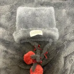 ディズニー ベルリオーズ ニット帽