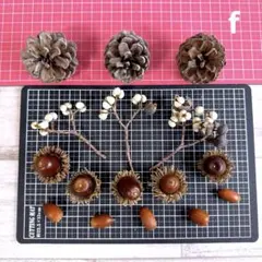 木の実セットf 松ぼっくり どんぐり ナンキンハゼ　クラフト素材　工作