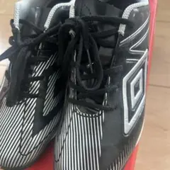 Item thumbnail for item 29d008d7-5e2b-47d2-bd4f-4d1749864103