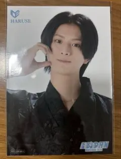 EBiDAN museum 2026 後期 ICEx阿久根温世