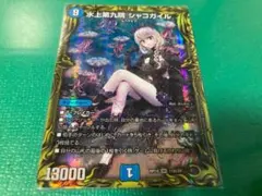 2026年最新】水上第九院 シャコガイルの人気アイテム - メルカリ