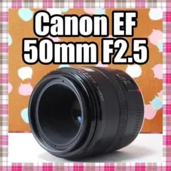 ✨単焦点レンズ✨大人気✨Canon EF 50mm F2.5のサムネイル
