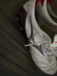 モレリアネオ4Japan